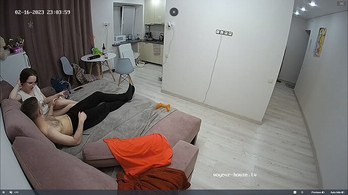 Ashampoo_Snap_jeudi 16 février 2023_21h4m38s_036_Living room camera at Dima & Sandra reallifecam apartment at Voyeur House TV (cam13) - Google Chrome