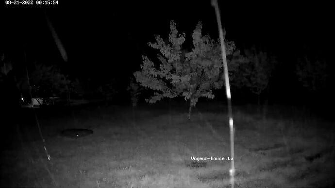 realm59-cam117-1661030216