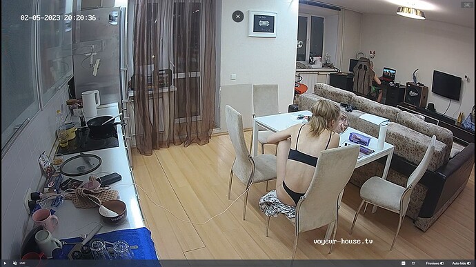 Ashampoo_Snap_dimanche 5 février 2023_15h21m9s_004_Living room camera at Artem reallifecam apartment at Voyeur House TV (cam14) - Google Chrome