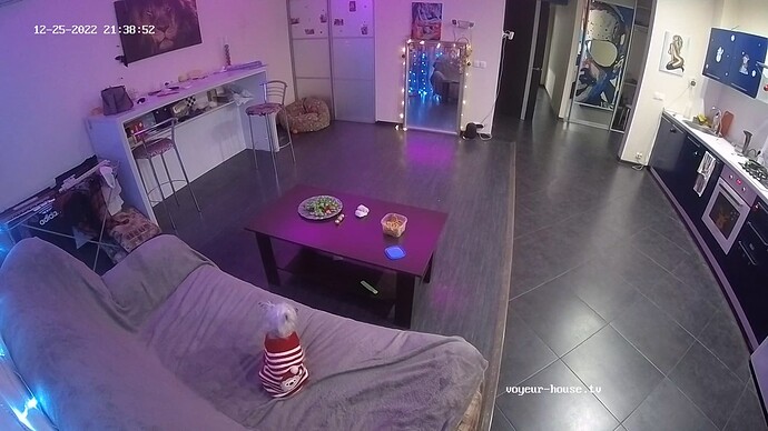 realm45-cam15-1671993565