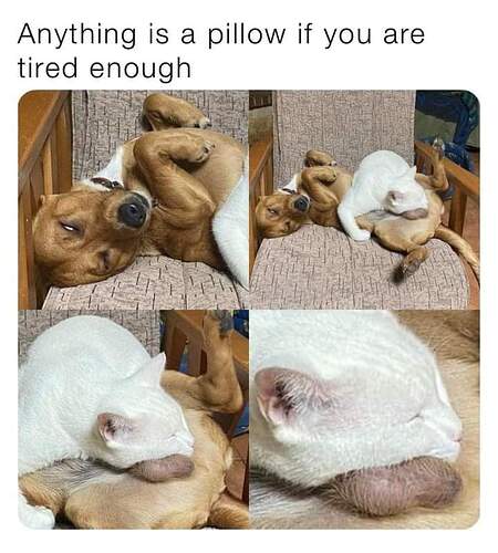 FB_IMG_1664479587935