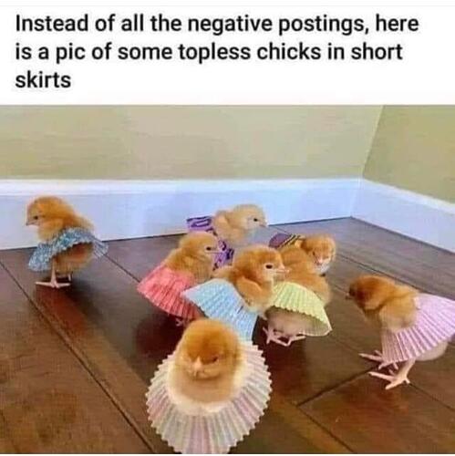 76f81d80-5319-412c-b806-669ee8c9f5d4