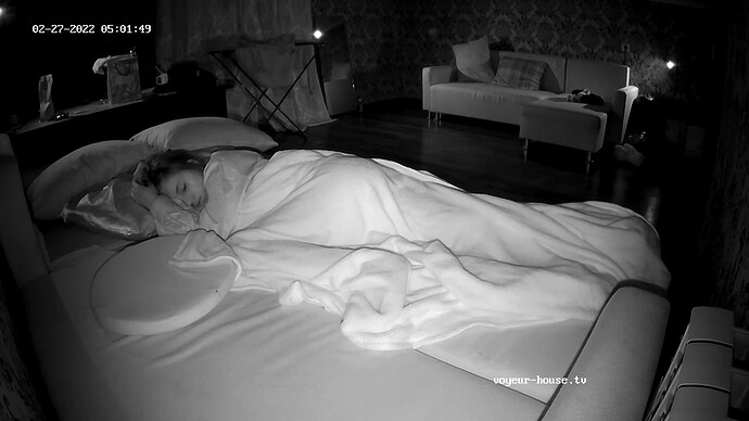 realm31-cam18-1645927344