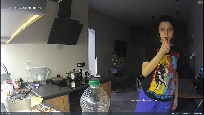 Ashampoo_Snap_lundi 6 mars 2023_18h19m30s_070_Living room camera at Rachel reallifecam apartment at Voyeur House TV (cam14) - Google Chrome