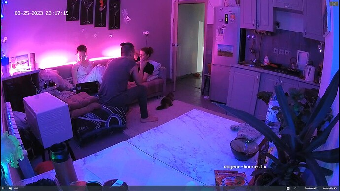 Ashampoo_Snap_samedi 25 mars 2023_22h31m36s_023_Kitchen camera at Lillian reallifecam apartment at Voyeur House TV (cam11) - Google Chrome