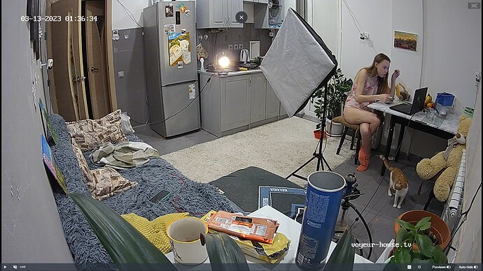 Ashampoo_Snap_lundi 13 mars 2023_0h37m11s_013_Wendy apartment with reallifecam cameras at Voyeur House TV - Google Chrome