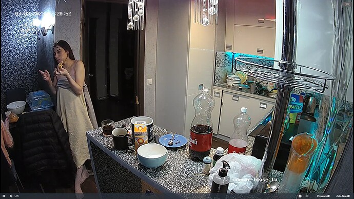 Ashampoo_Snap_vendredi 3 mars 2023_0h21m23s_011_Kitchen camera at Alicia & Aderyn reallifecam apartment at Voyeur House TV (cam11) - Google Chrome