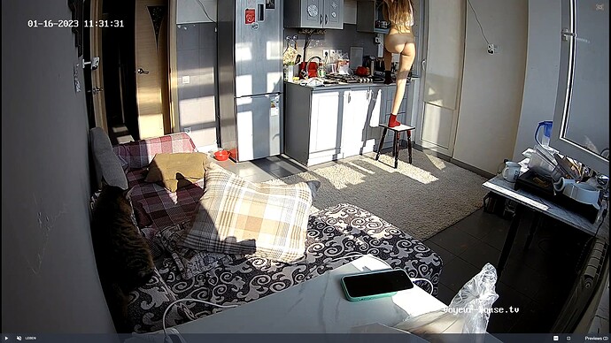Screenshot (10676)