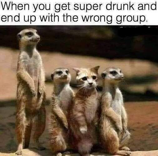 FB_IMG_1677123816745