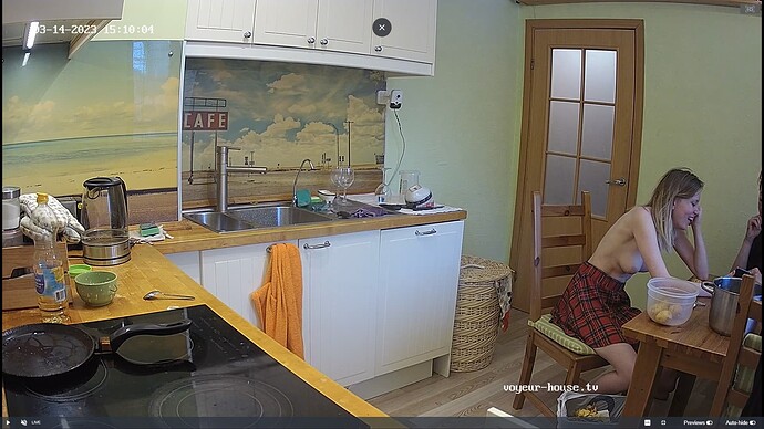 Ashampoo_Snap_mardi 14 mars 2023_13h12m1s_025_Jack & Rose apartment with reallifecam cameras at Voyeur House TV - Google Chrome