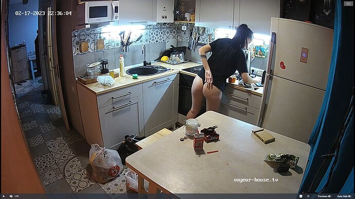Ashampoo_Snap_vendredi 17 février 2023_20h37m45s_050_Kitchen camera at Hut TV reallifecam apartment at Voyeur House TV (cam11) - Google Chrome