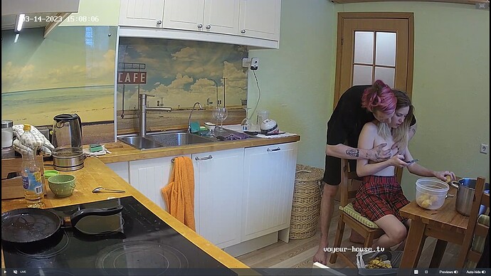 Ashampoo_Snap_mardi 14 mars 2023_13h8m53s_023_Jack & Rose apartment with reallifecam cameras at Voyeur House TV - Google Chrome