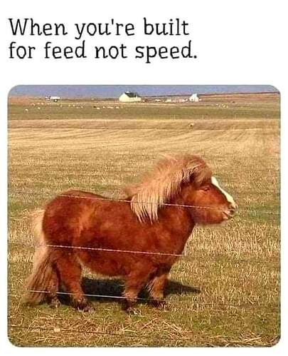FB_IMG_1664468151857