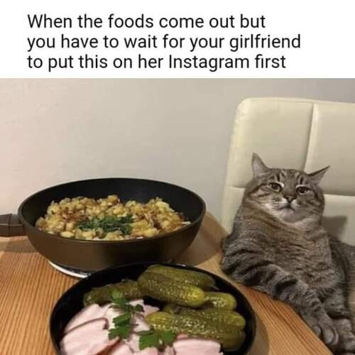 FB_IMG_1677331451405