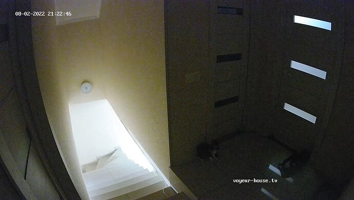 realm67-cam116-1659464604