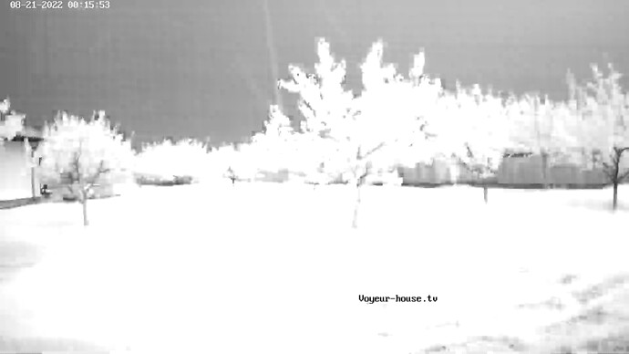 realm59-cam117-1661030179