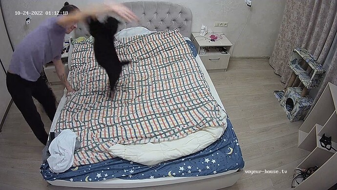 Cat 2