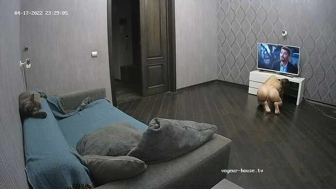 bandicam 2022-04-17 23-29-27-620