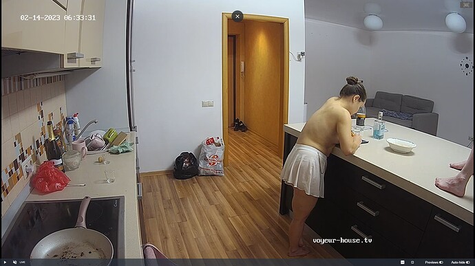 Ashampoo_Snap_mardi 14 février 2023_1h33m54s_026_Kitchen camera at Tonk reallifecam apartment at Voyeur House TV (cam11) - Google Chrome