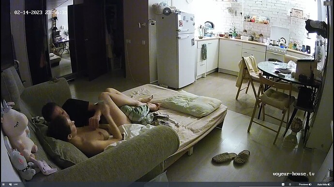 Ashampoo_Snap_mardi 14 février 2023_21h57m8s_100_Rachel apartment with reallifecam cameras at Voyeur House TV - Google Chrome