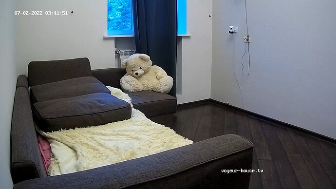 Hy Teddy
