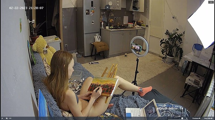 Ashampoo_Snap_mercredi 22 février 2023_20h28m46s_015_Kitchen camera at Tonk reallifecam apartment at Voyeur House TV (cam11) - Google Chrome