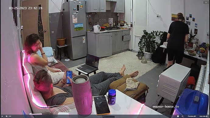 Ashampoo_Snap_samedi 25 mars 2023_22h43m4s_027_Kitchen camera at Lillian reallifecam apartment at Voyeur House TV (cam11) - Google Chrome