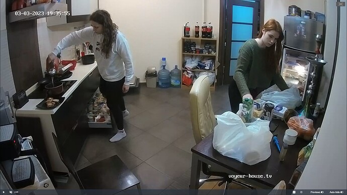 Ashampoo_Snap_vendredi 3 mars 2023_18h36m32s_009_Dexter & Kelly apartment with reallifecam cameras at Voyeur House TV - Google Chrome