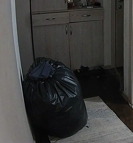 realm88-cam110-1656776343
