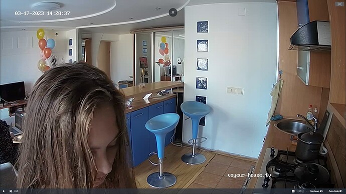 Ashampoo_Snap_vendredi 17 mars 2023_9h29m15s_012_Living room camera at Auriel reallifecam apartment at Voyeur House TV (cam14) - Google Chrome