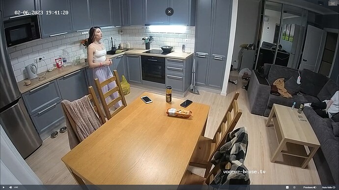 Ashampoo_Snap_lundi 6 février 2023_17h42m18s_019_Silver & Bradley apartment with reallifecam cameras at Voyeur House TV - Google Chrome