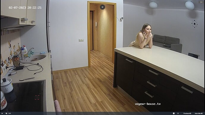Ashampoo_Snap_mardi 7 février 2023_15h22m59s_028_Kitchen camera at Artem reallifecam apartment at Voyeur House TV (cam11) - Google Chrome