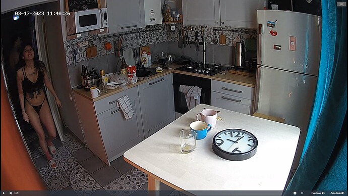 Ashampoo_Snap_vendredi 17 mars 2023_9h41m6s_022_Kitchen camera at Faye reallifecam apartment at Voyeur House TV (cam12) - Google Chrome