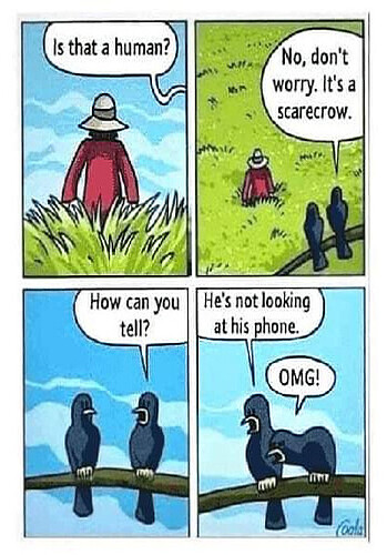 FB_IMG_1647898969683