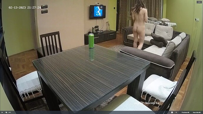 Ashampoo_Snap_lundi 13 février 2023_21h28m13s_026_Tonk apartment with reallifecam cameras at Voyeur House TV - Google Chrome