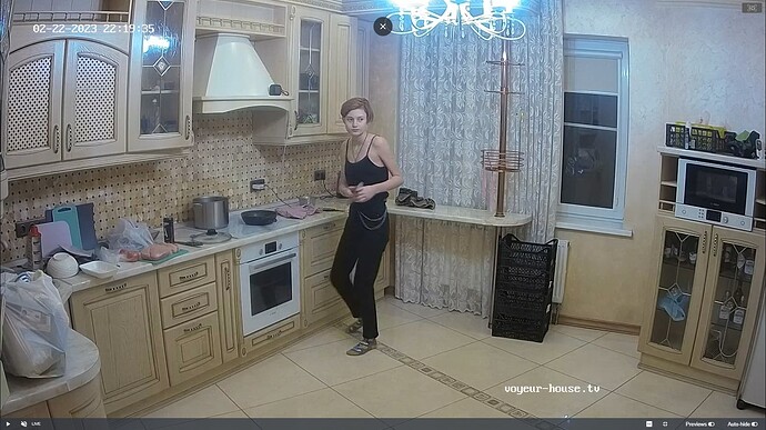 Ashampoo_Snap_mercredi 22 février 2023_20h21m26s_010_Kitchen camera at Tonk reallifecam apartment at Voyeur House TV (cam11) - Google Chrome