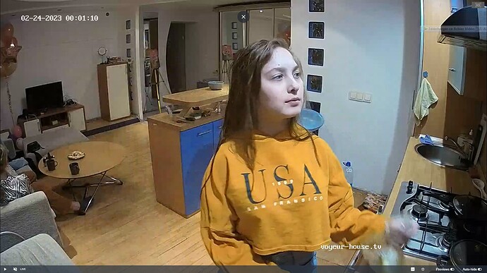 Ashampoo_Snap_jeudi 23 février 2023_19h3m4s_015_Hall camera at Medea reallifecam apartment at Voyeur House TV (cam110) - Google Chrome