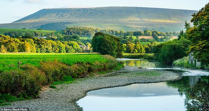 35071154-8899819-Spooky_The_river_beneath_Pendle_Hill_-m-14_1604136252401