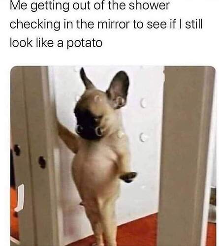FB_IMG_1668083611704
