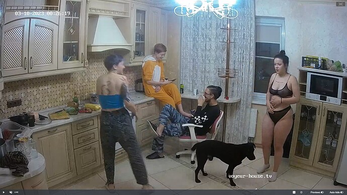 Ashampoo_Snap_jeudi 9 mars 2023_22h28m0s_073_Gella, Winston Wolfe apartment with reallifecam cameras at Voyeur House TV - Google Chrome