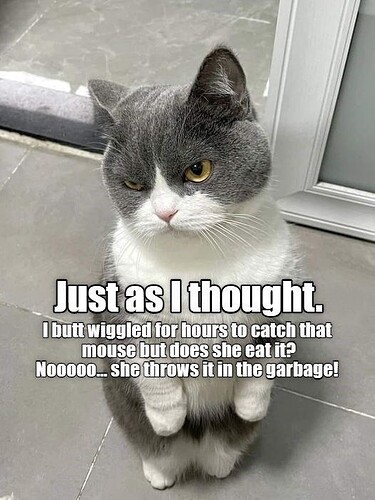 main-qimg-7f0710b5a5072c106a62fe98d80526c7