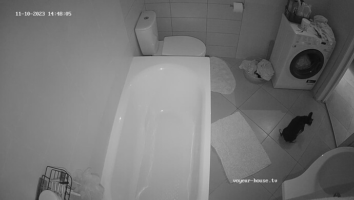 realm49-cam110-1699617535