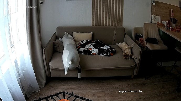 realm33-cam15-1709902654