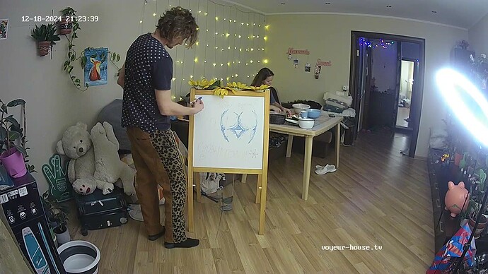 Living room camera at Ariela reallifecam apartment at Voyeur-103