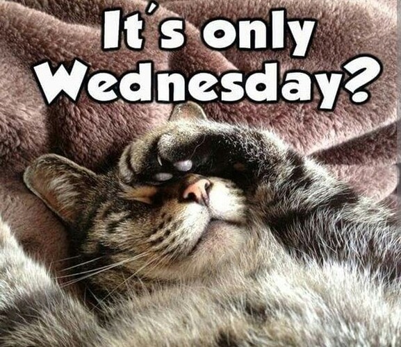 main-qimg-27c05a4dba839bc8f12038f261ef4bd2