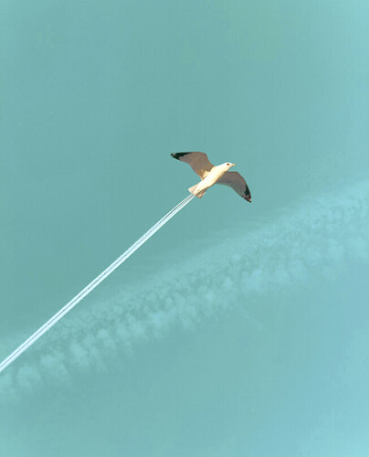 grafik