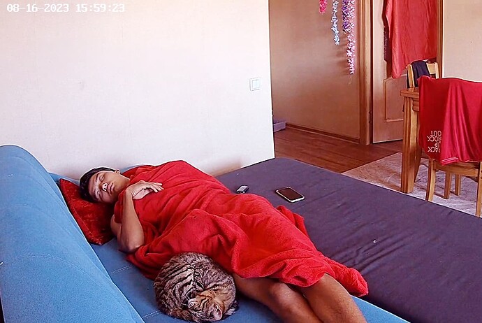 bandicam 2023-08-17 08-13-35-032