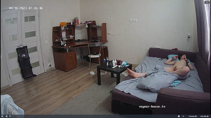 Ashampoo_Snap_dimanche 16 avril 2023_6h34m8s_002_Living room camera at Alida reallifecam apartment at Voyeur House TV (cam15) - Google Chrome