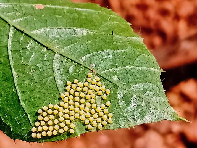 retouch_2024101518540543