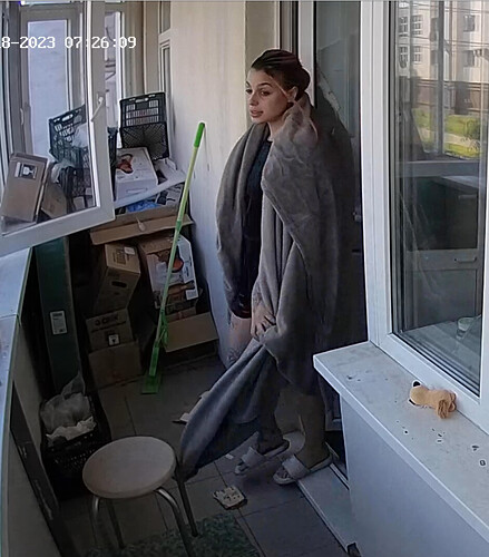 Screenshot 2023-06-18 at 06-37-35 Guest bedroom camera at Sophia Elon Claudia reallifecam apartment at Voyeur House TV (cam110)